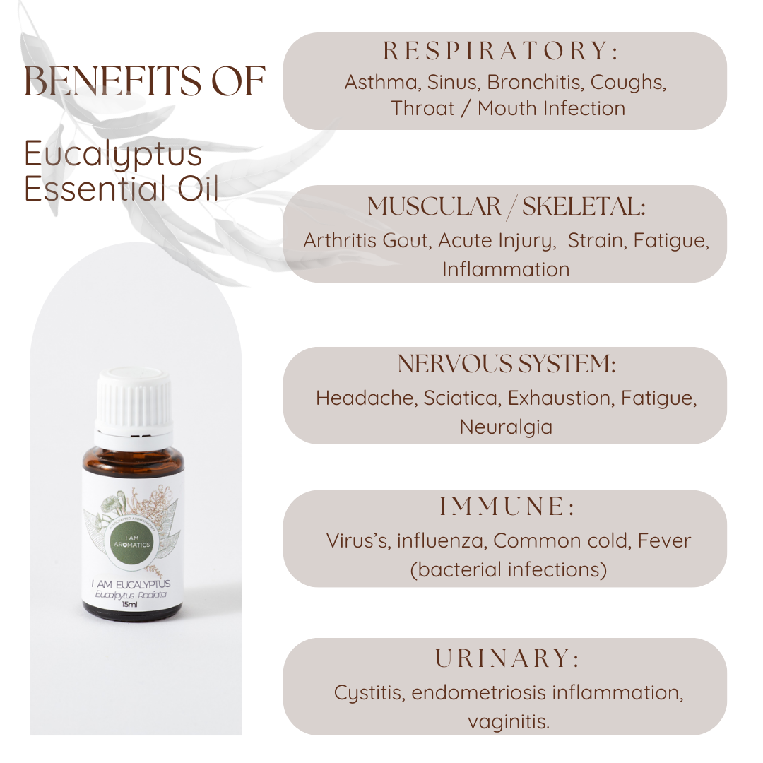I Am Eucalyptus