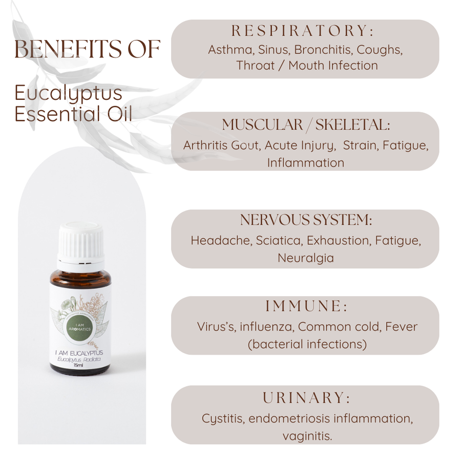 I Am Eucalyptus