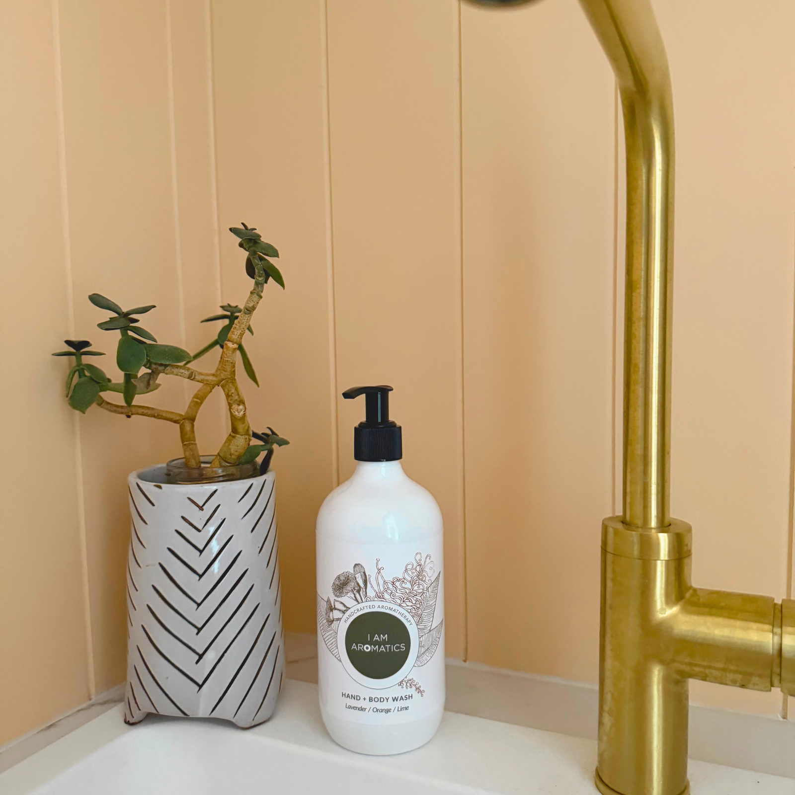 I Am Clean Hand & Body Wash