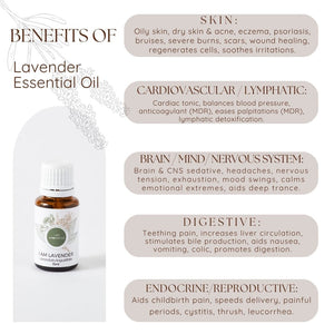 I Am Lavender essential oil infographic