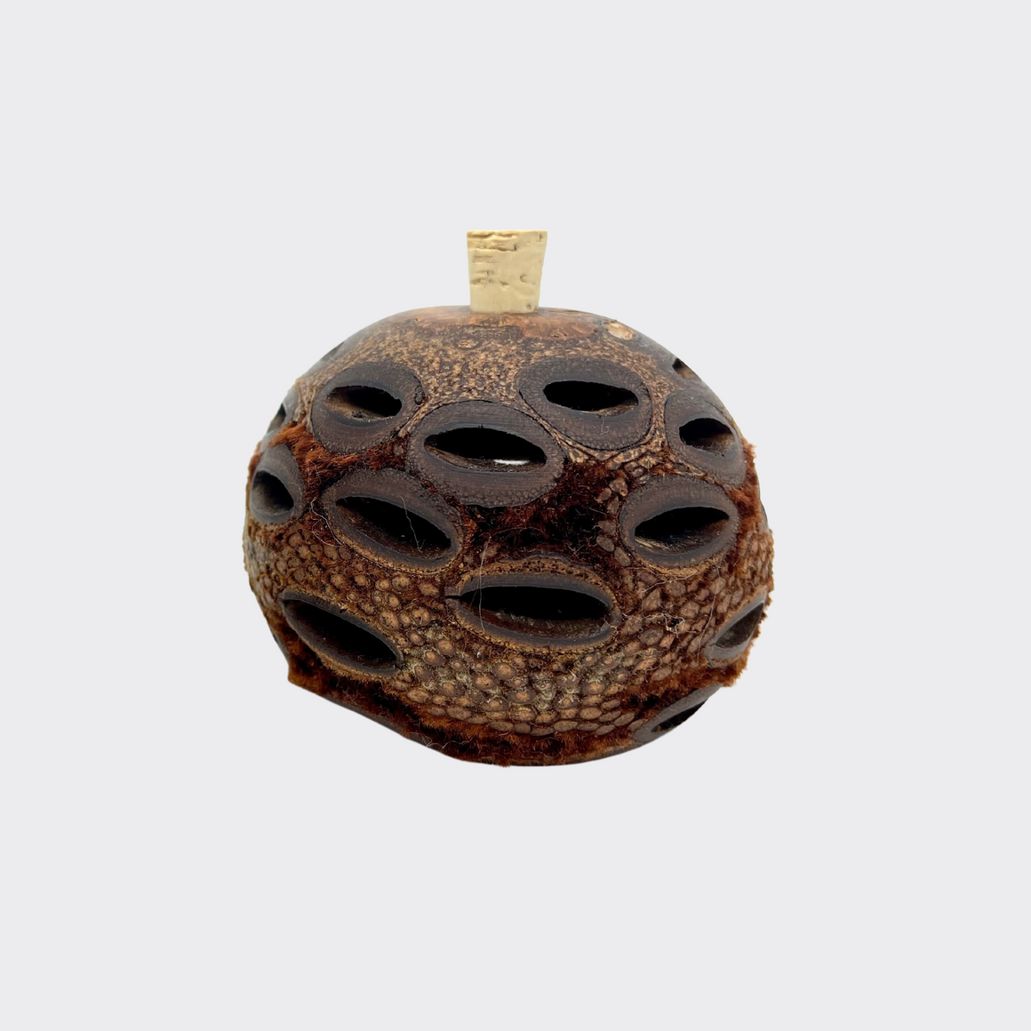 Banksia handcrafted Aroma Pod